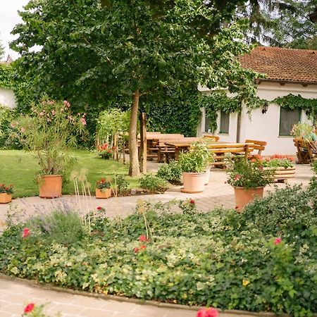 Hotel-Restaurant-Vinothek Felix Sommer Auersthal Bagian luar foto